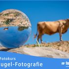 Online Fotokurs: Glaskugel-Fotografie