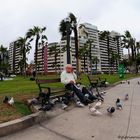 Only accompanied by pigeons Miraflores Lima.