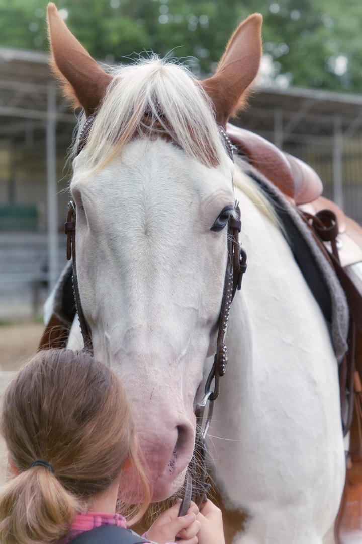 Only one eyed,  but a big heart 