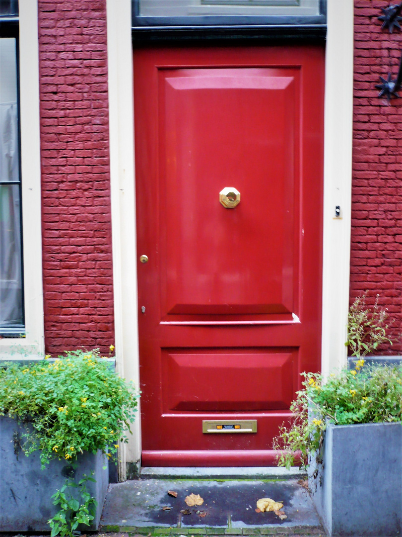 --  only red door  --