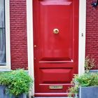 --  only red door  --