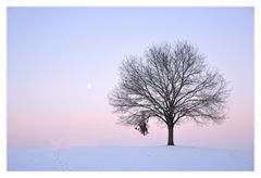 only the moon looks on..... nur der Mond schaut zu.......