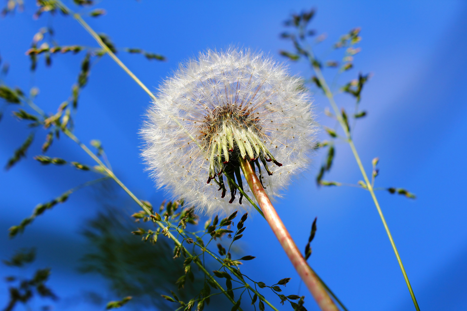 Only the sky, only the wind. Only space ahead...