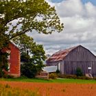 **ontario farmlands**