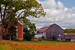 **ontario farmlands**