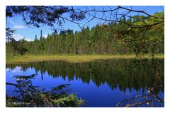 Ontario Landscape I