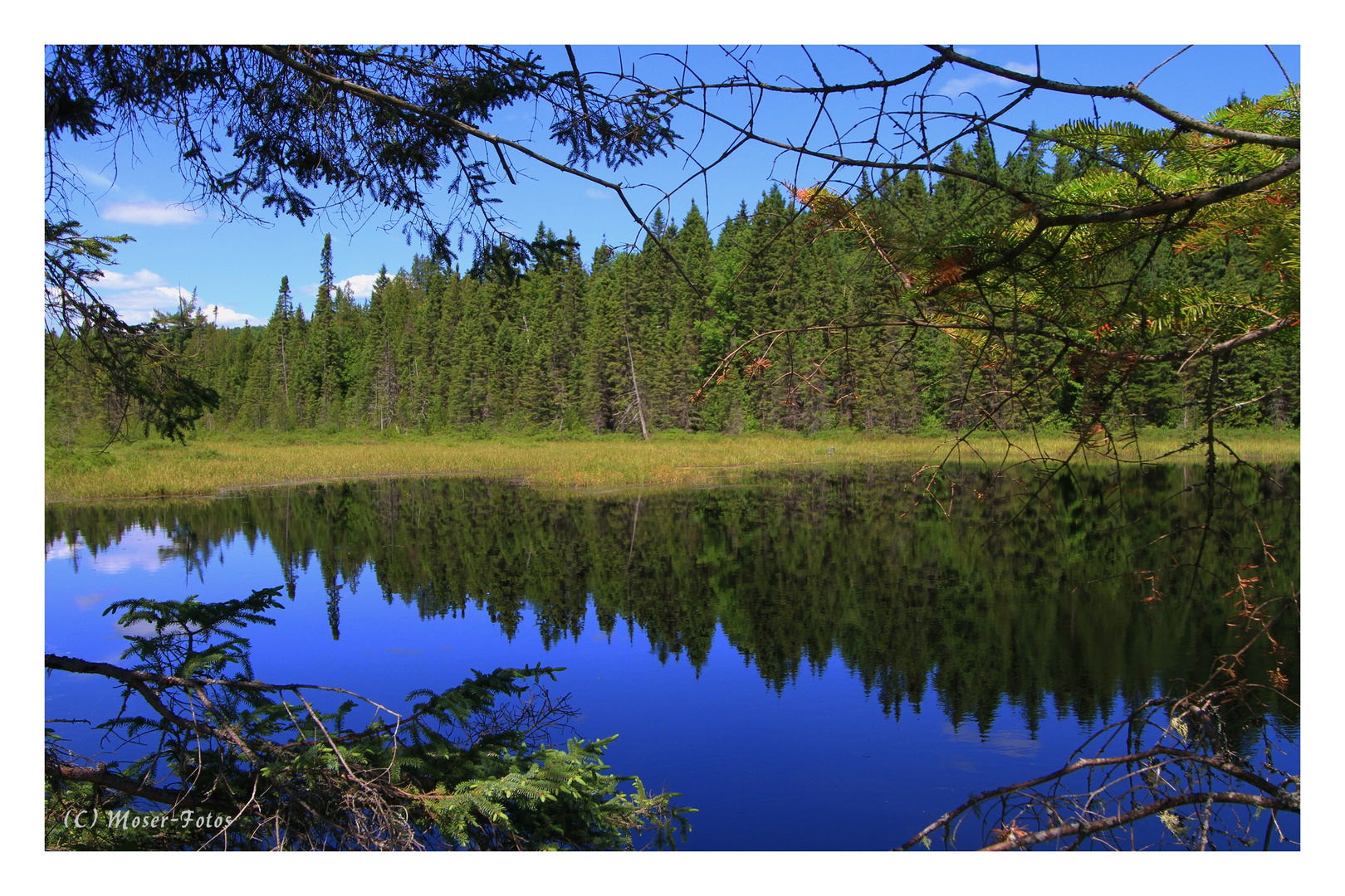 Ontario Landscape II