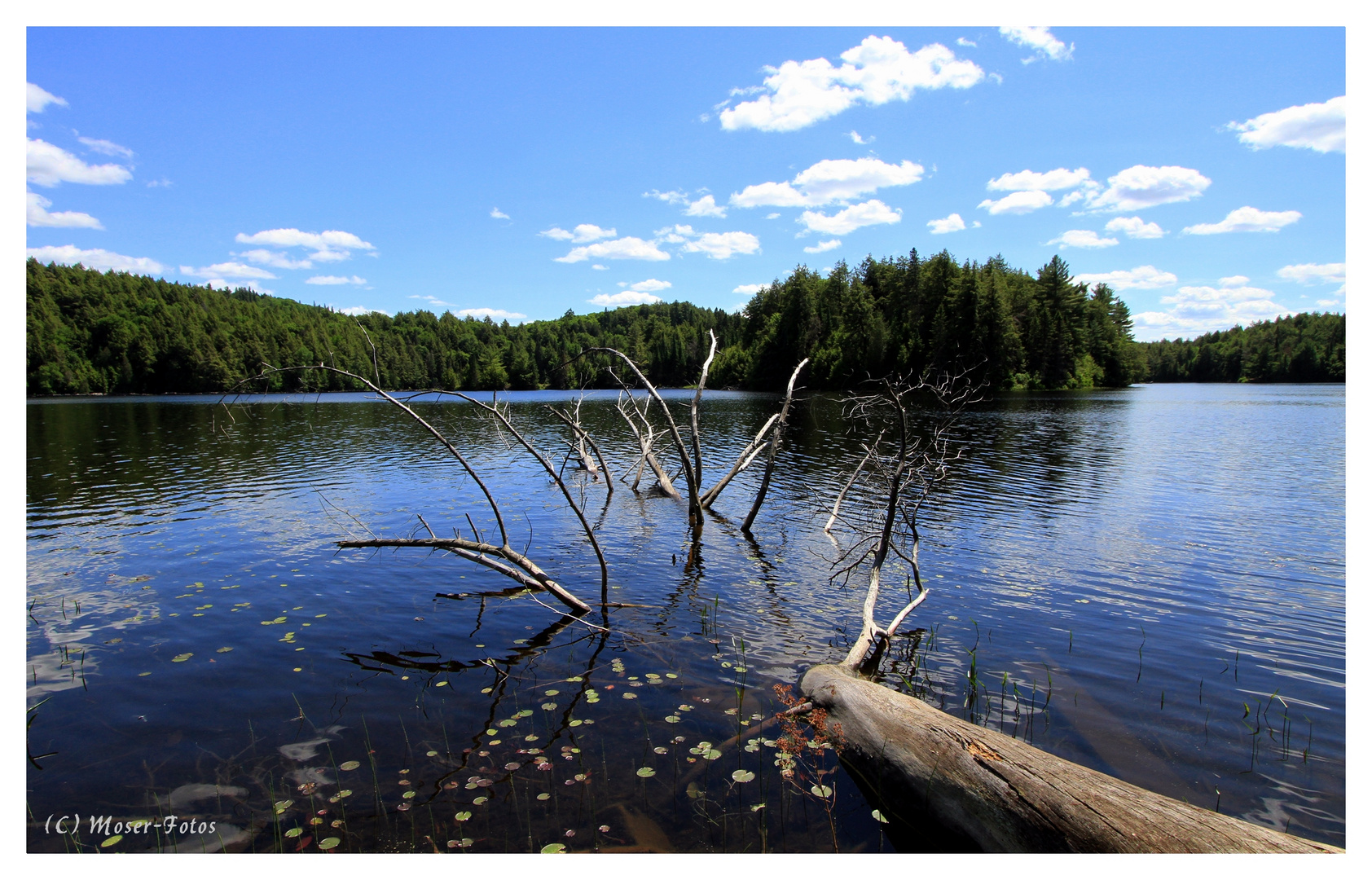 Ontario Landscape IIII