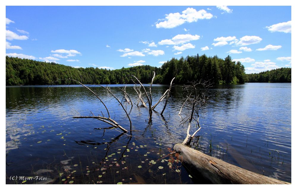 Ontario Landscape IIII