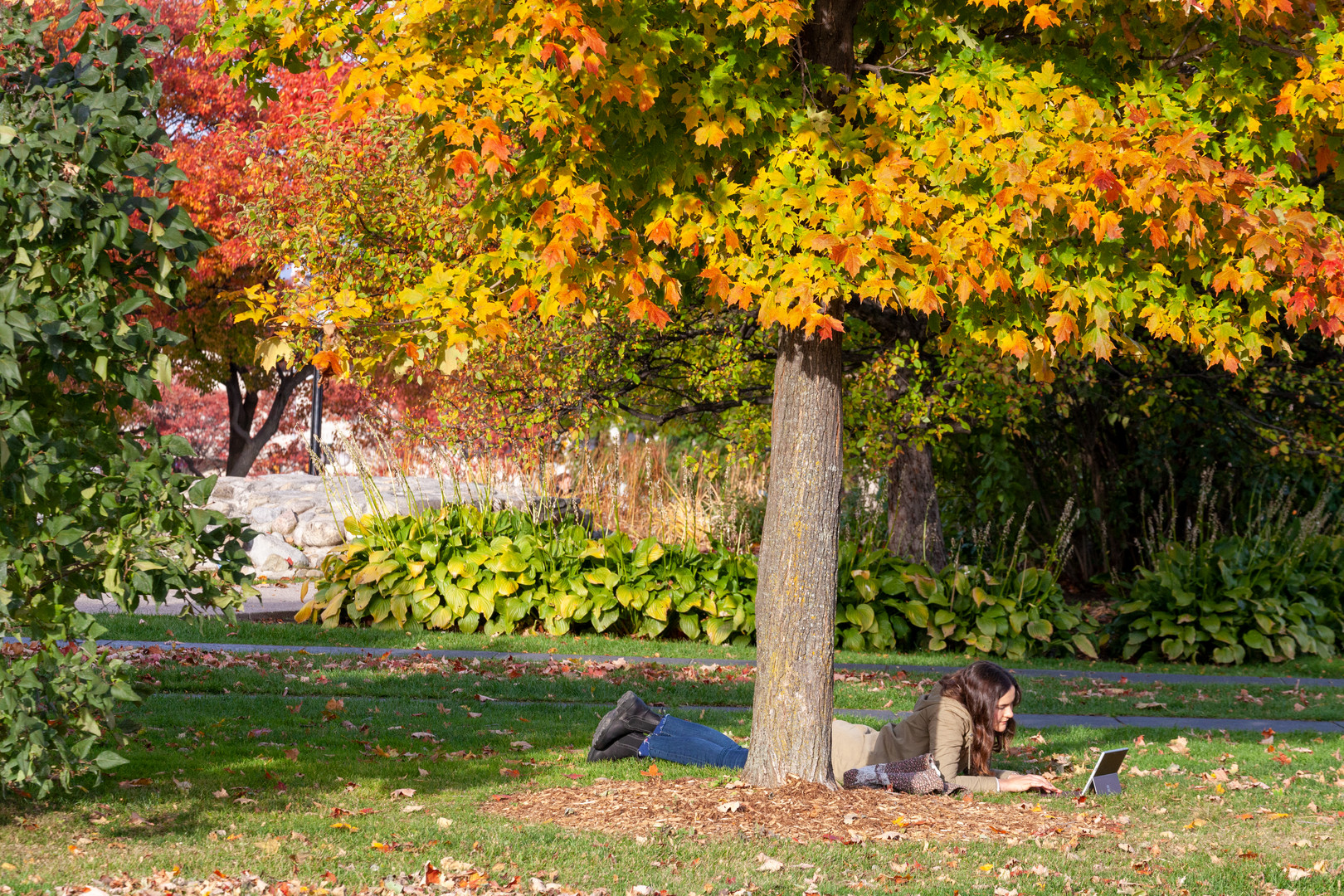 Ontario_Ottawa_Major's_Hill_Park-Garon-20191021_5009