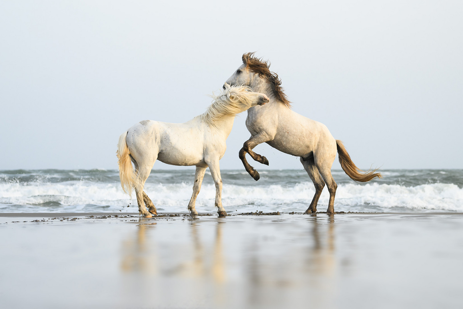 ***onthebeach***