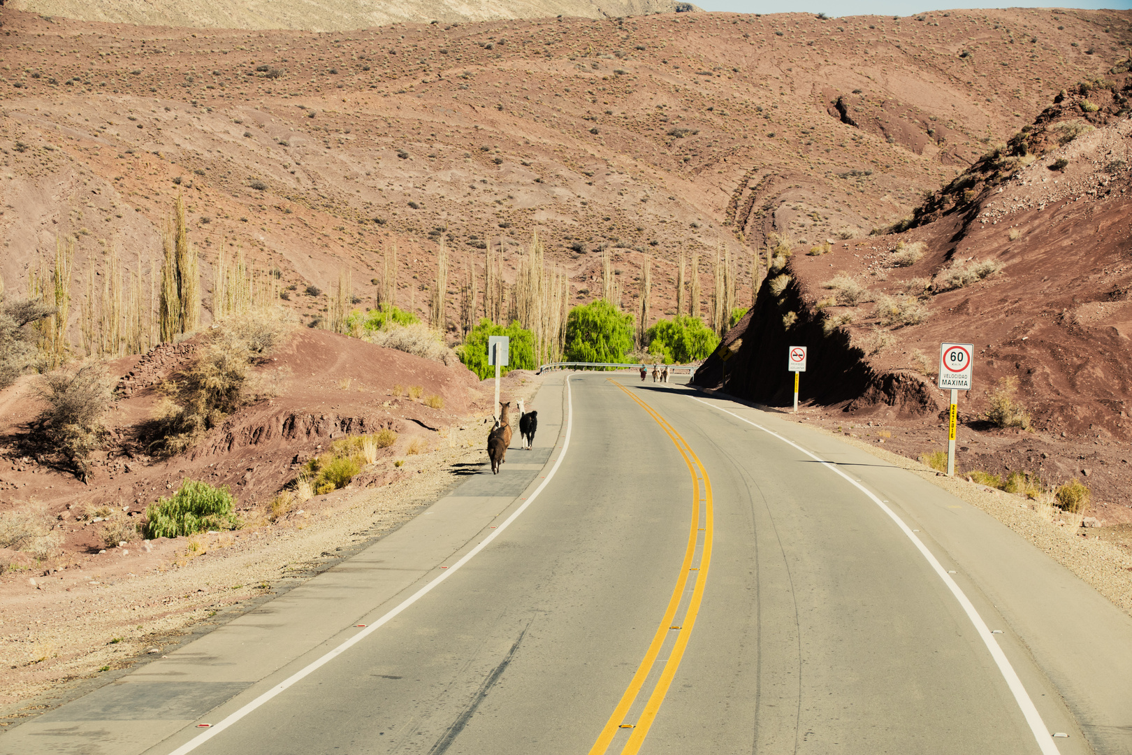 OnTheRoad in Bolivia