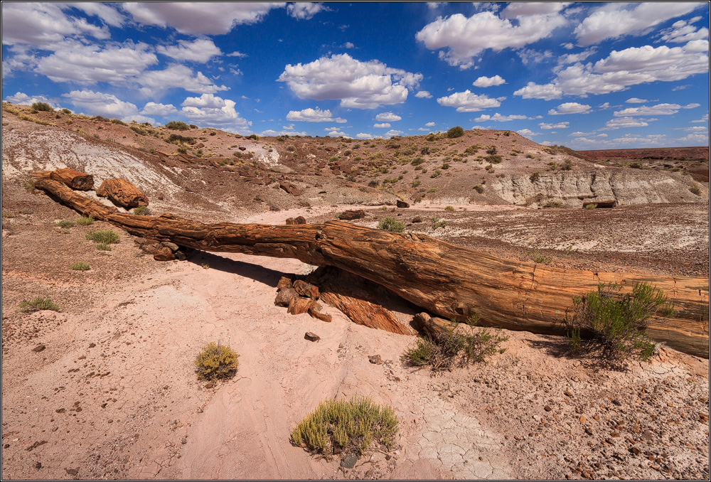 Onyx Bridge