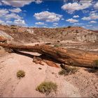 Onyx Bridge