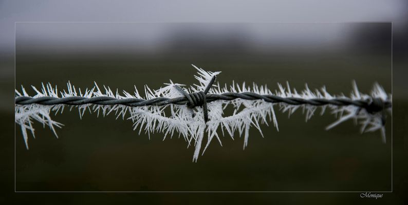 *** (ô_ô) *** La Force et la Fragilité *** (ô_ô) ***