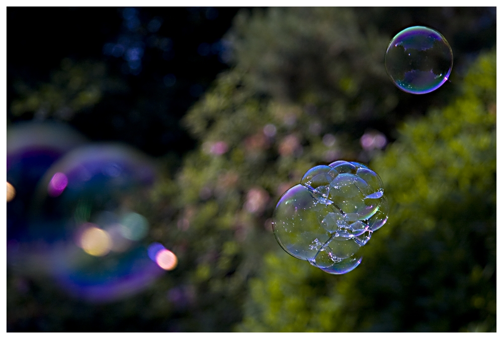 Oo° soap-bubble °oO *2*