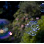 Oo° soap-bubble °oO *2*