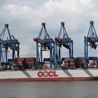 OOCL Rotterdam 01