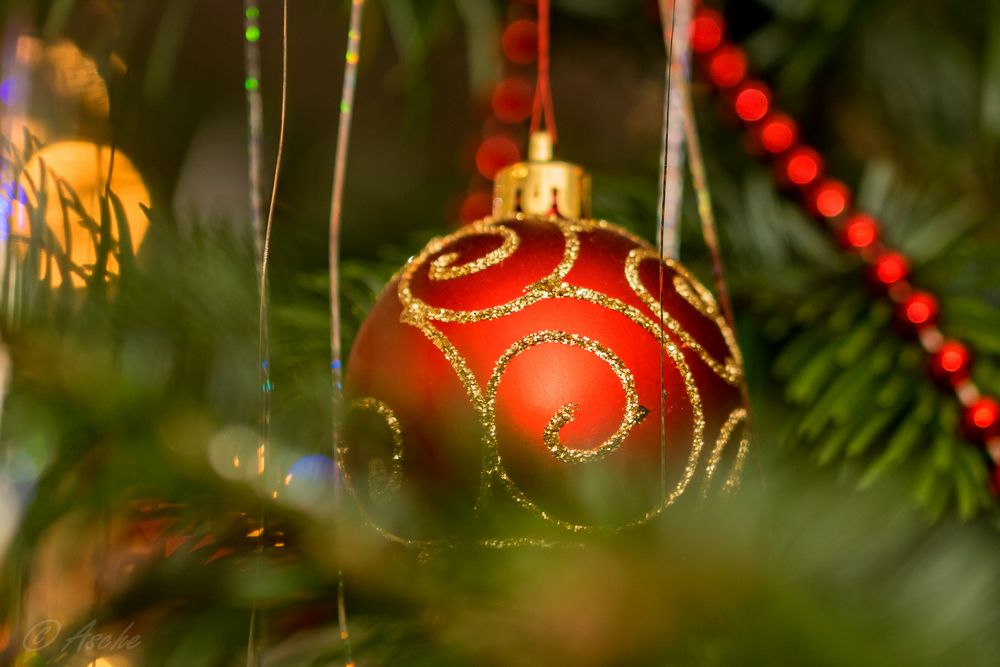 Ooh Tannenbaum... Foto & Bild gratulation und feiertage, weihnachten