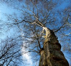 ...ooh...blauer Himmel...