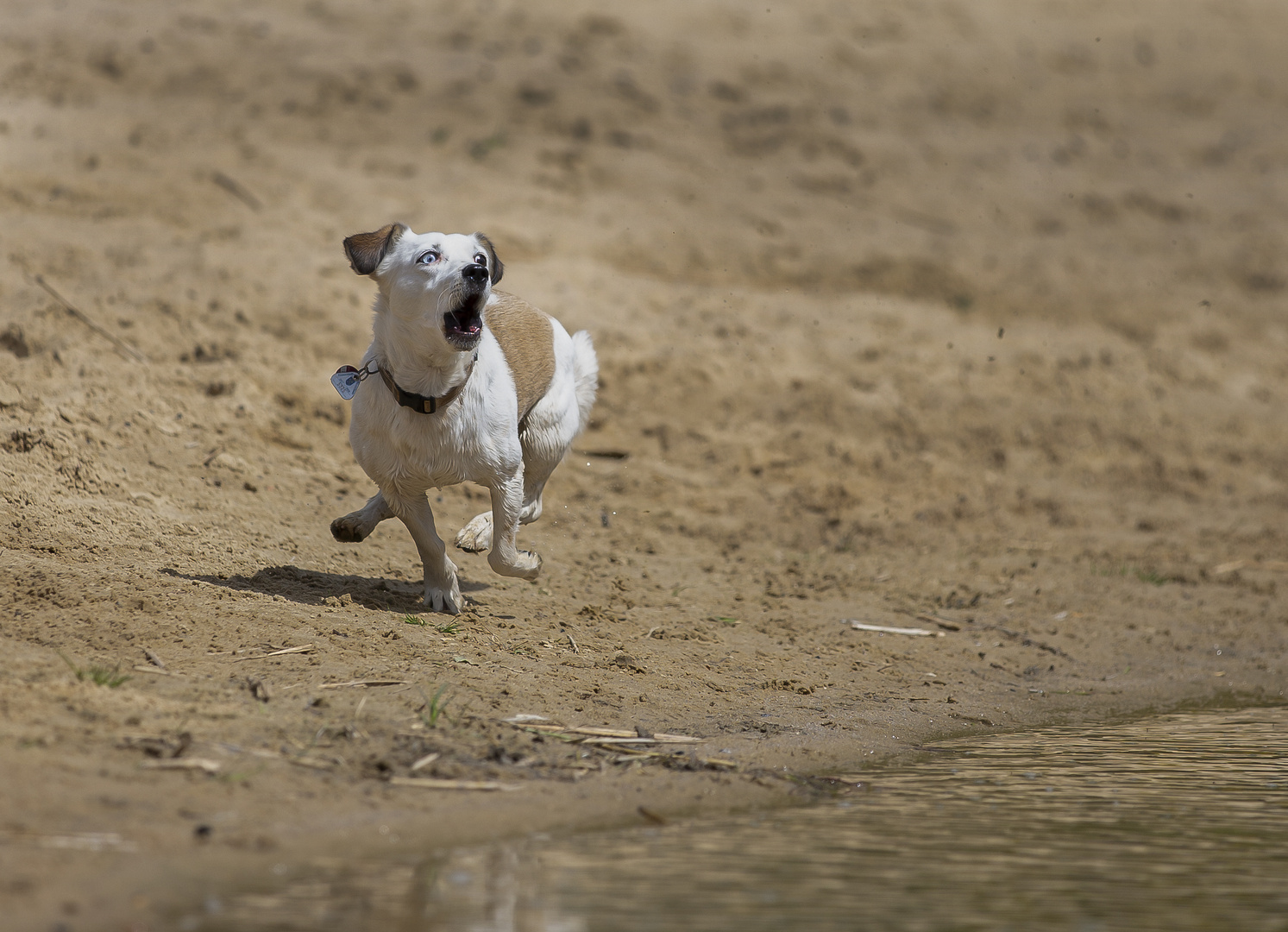 OOOh Gott nein nicht das Spielzeug ins Wasser !!!