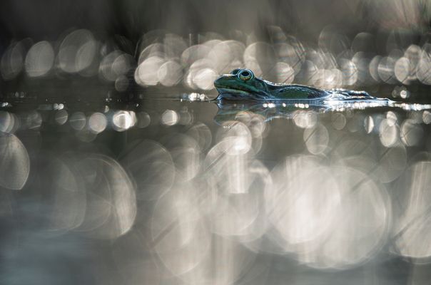 ______Oo°°:oO0_______