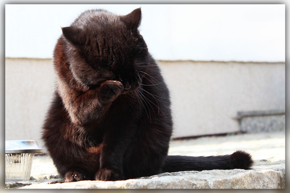 "Ooooh... der Gomez darf nicht mit nach Brasilien...!"