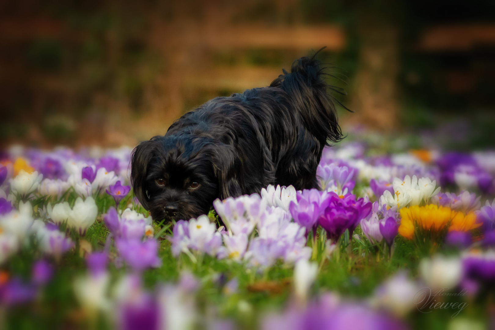 Oooohhh das riecht nach Frühling