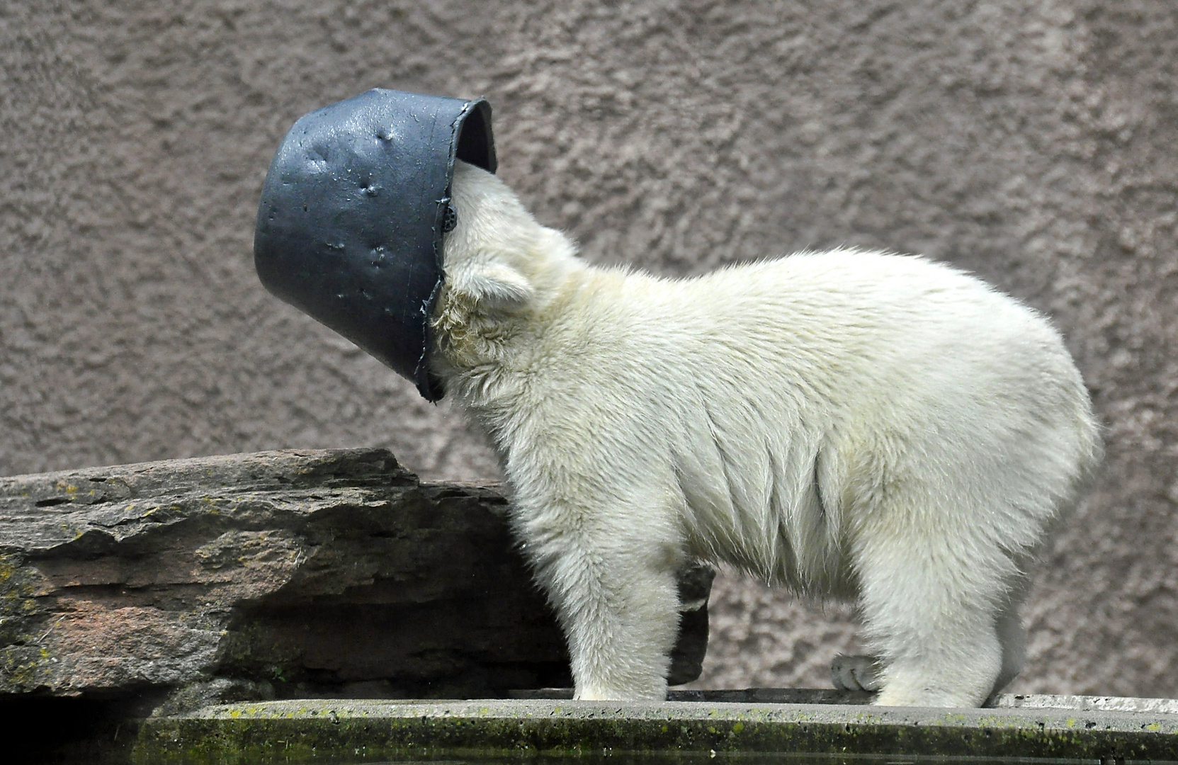 Ooops Heute Wird Es Aber Schnell Dunkel Foto Bild Tiere Zoo