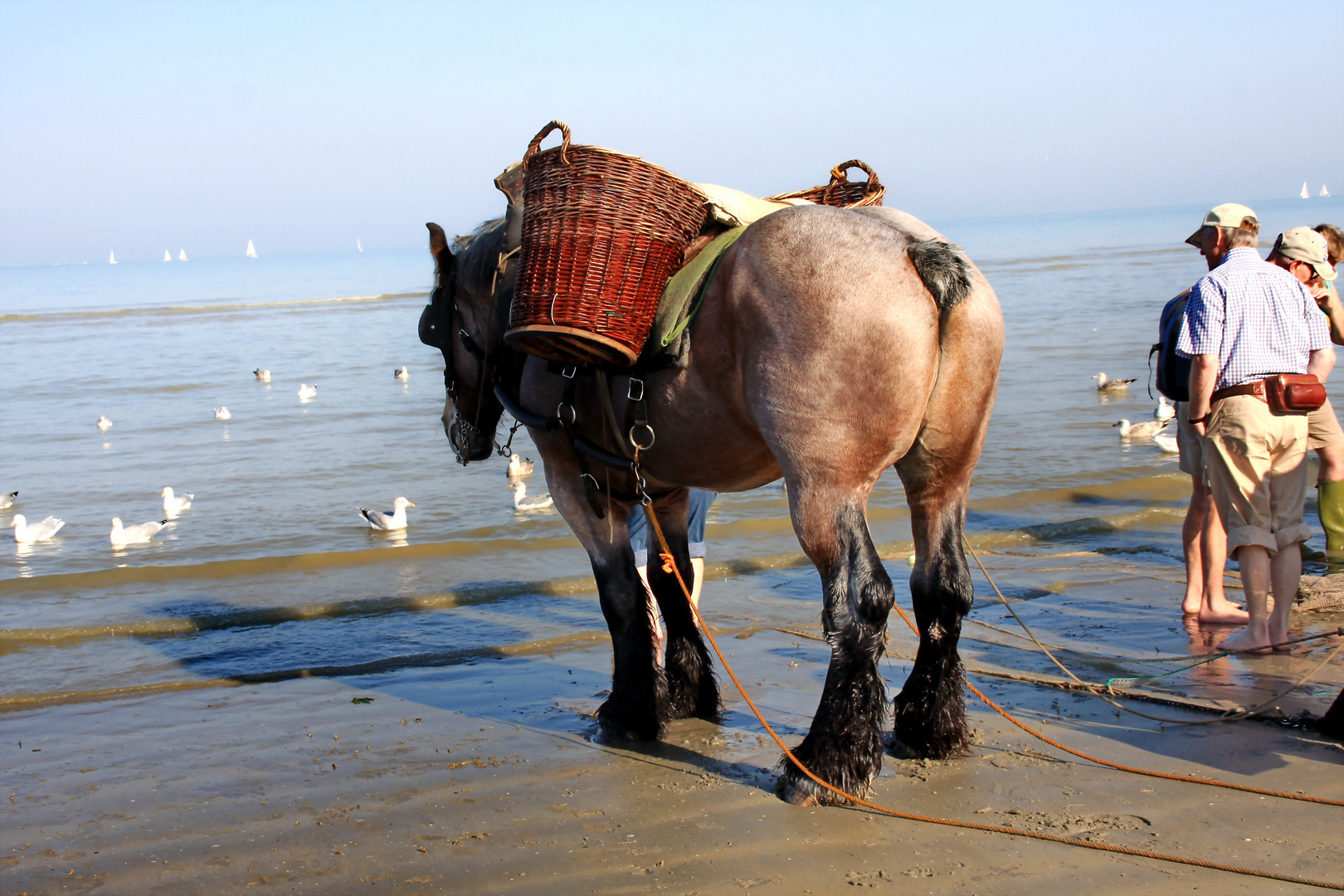 Oostduinkerke