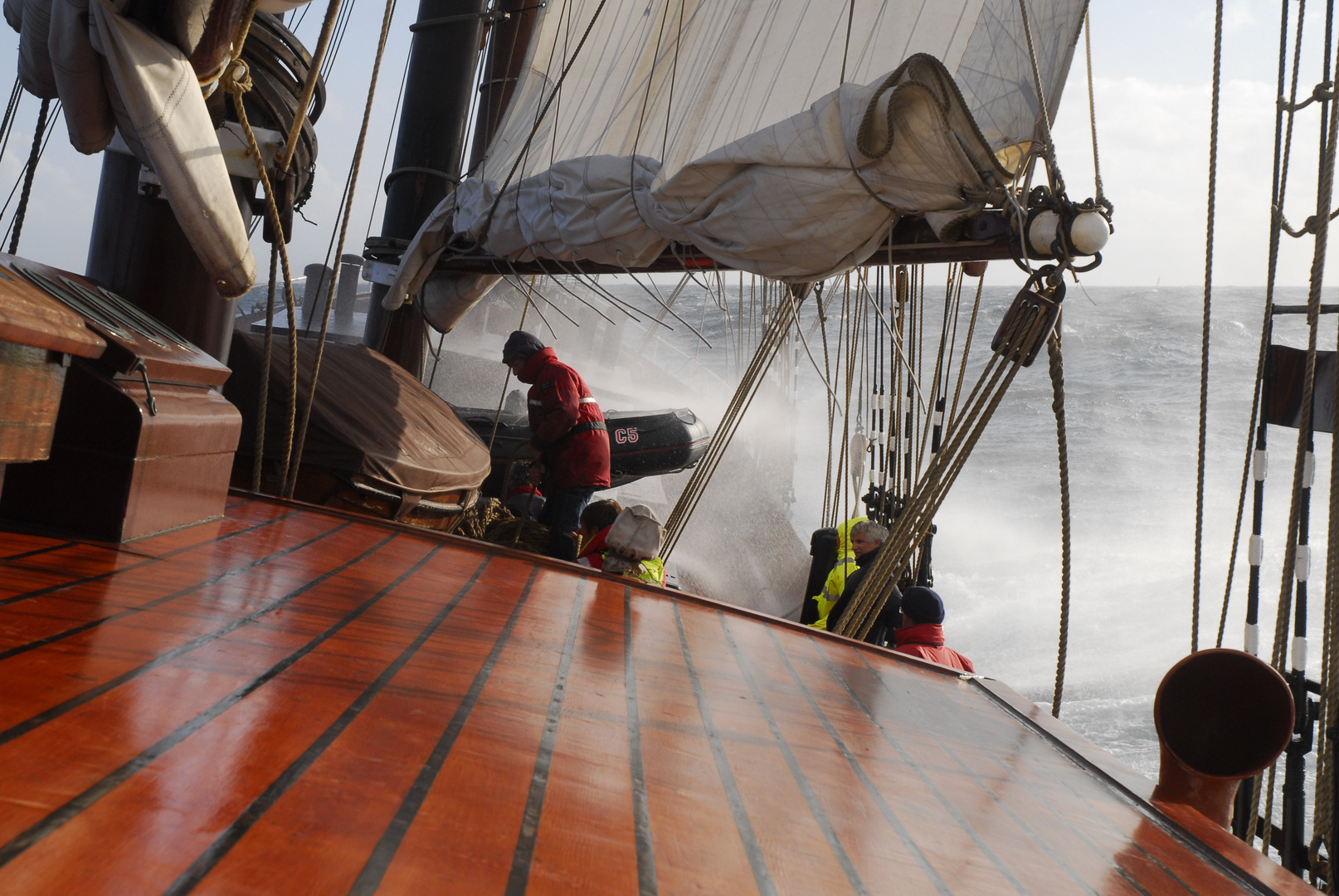 Oosterschelde 2009