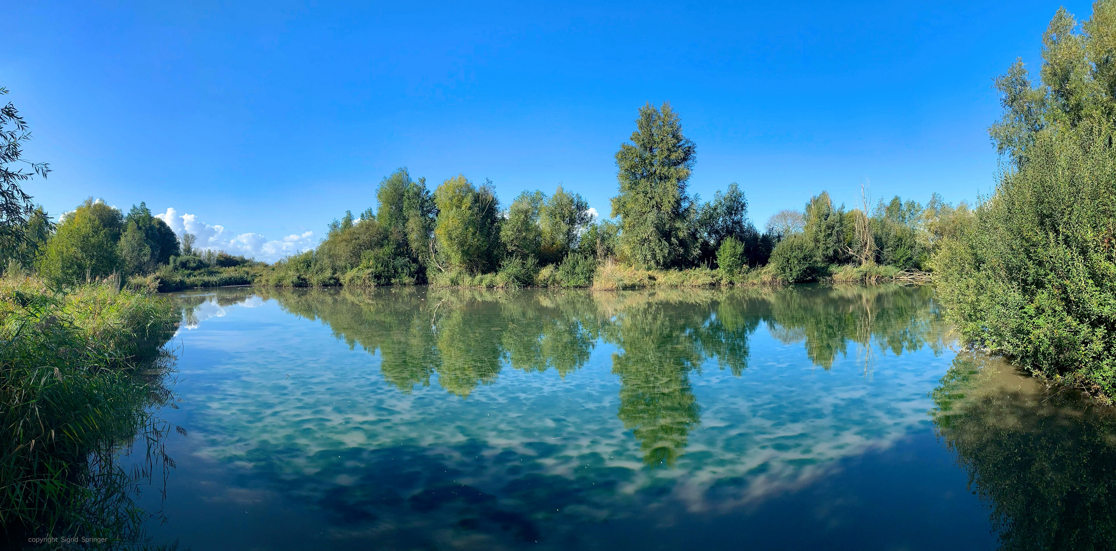 Oostvaardersplassen