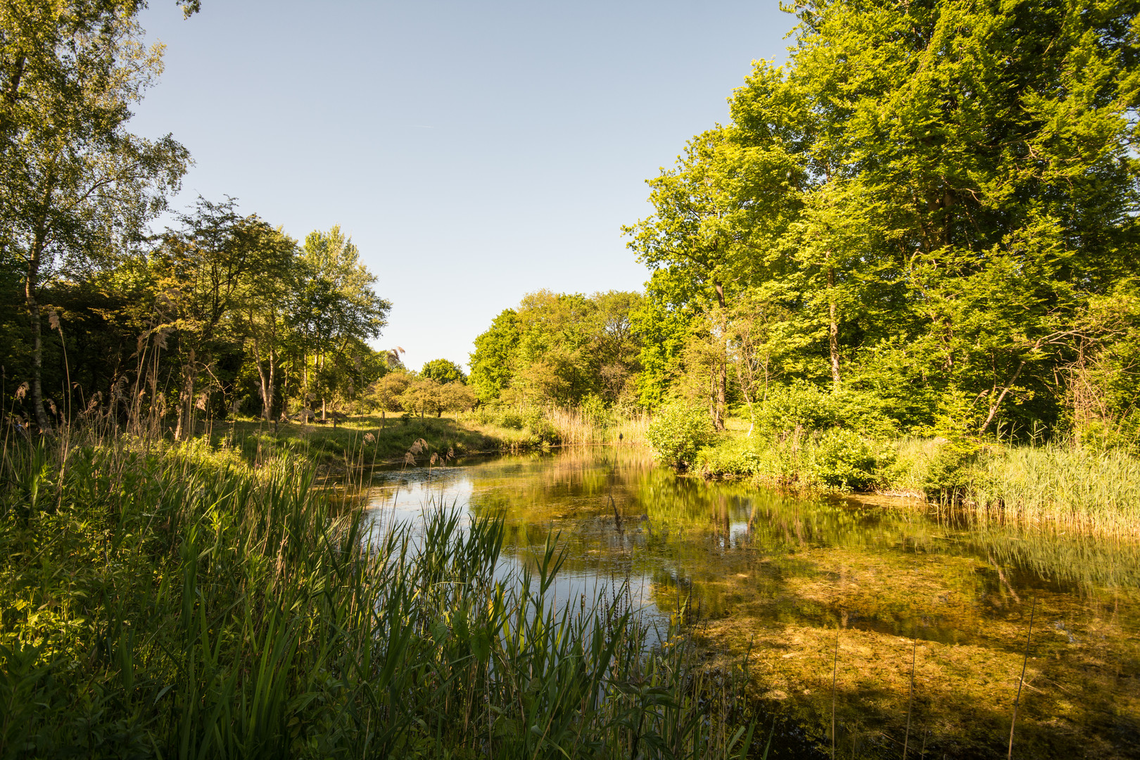 Oostvoorne Tenellaplas - 08