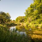 Oostvoorne Tenellaplas - 08