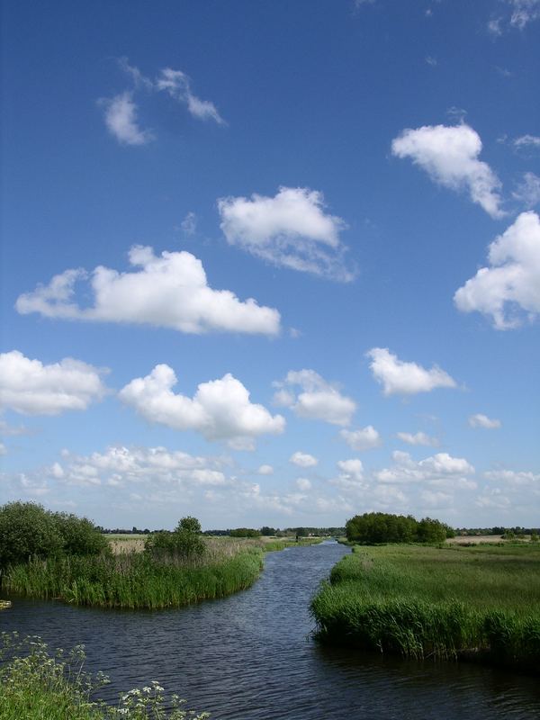 Oostzanerveld