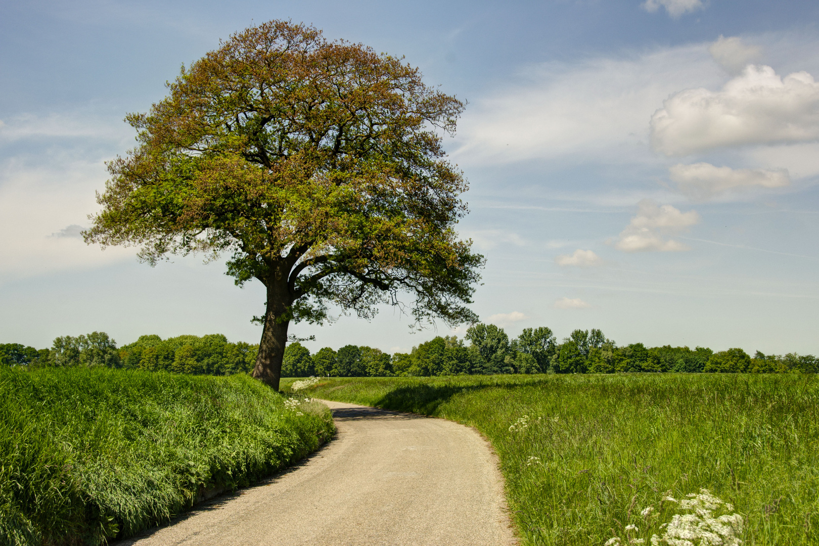 Ootmarsum - Hezebergweg - 01