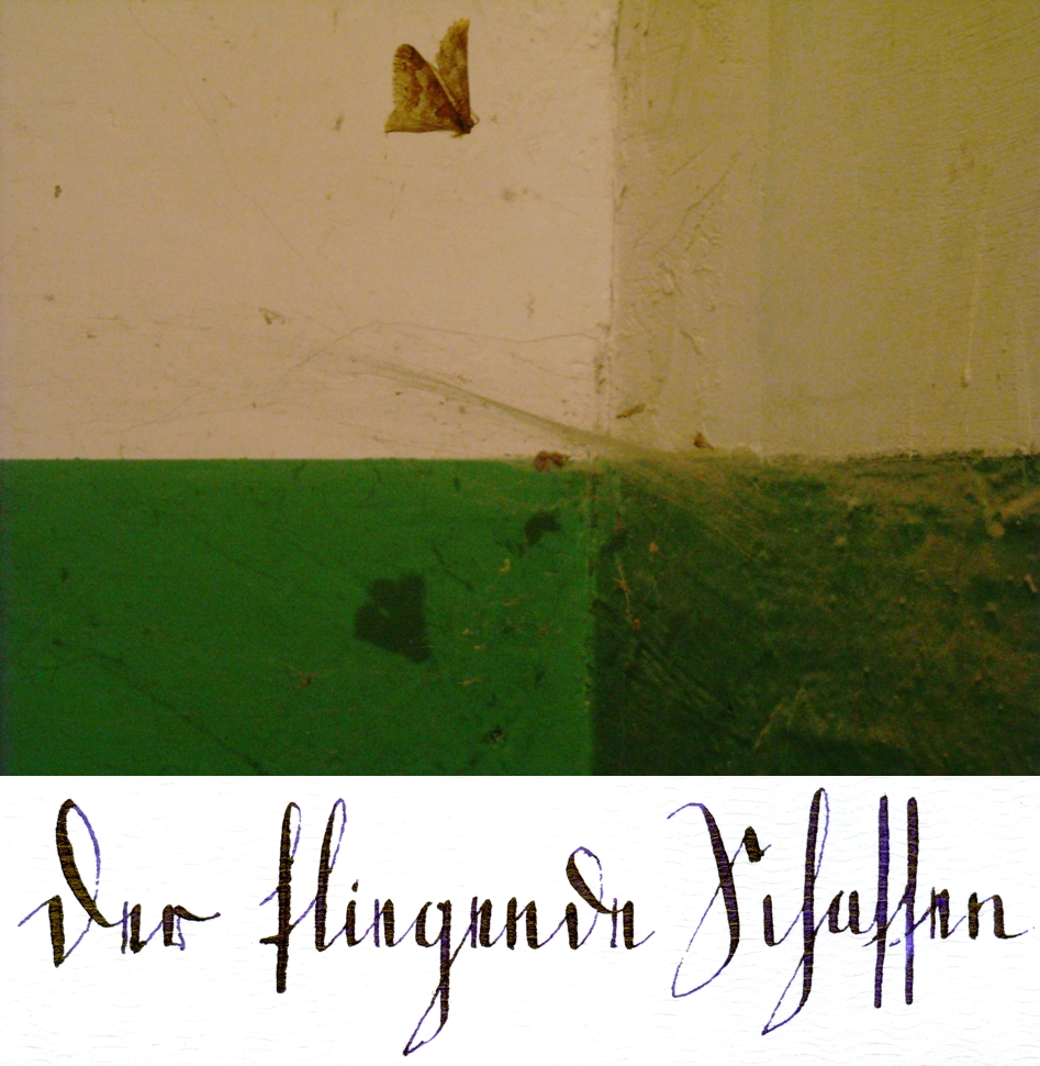 Op. 178-226 Der fliegende Schatten