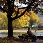 Op d`r Bank sitze am Rhing un Kraff sammele vör däm Winter