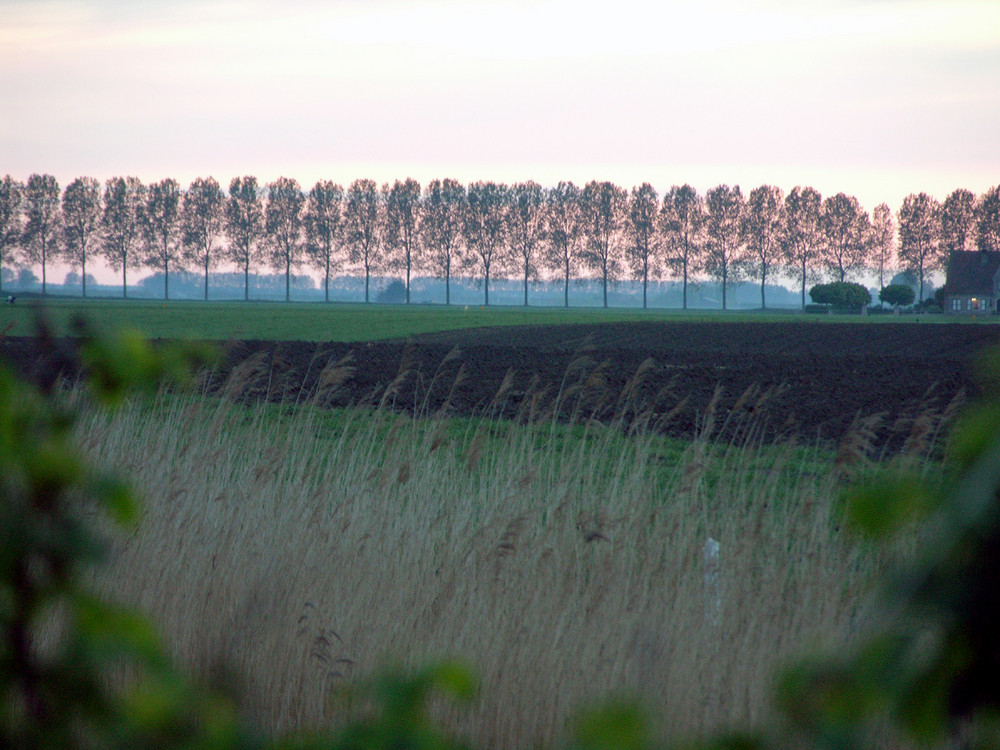 Op tocht in Zeeuws-Vlaanderen