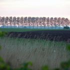 Op tocht in Zeeuws-Vlaanderen