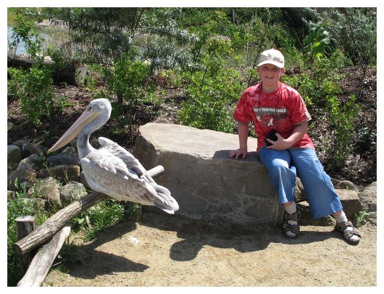 Opa, was ist denn das für ein Vogel?