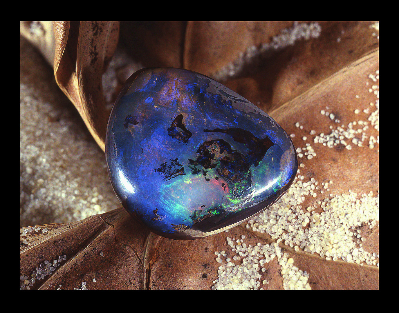 Opal "Die Welt"