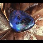 Opal "Die Welt"