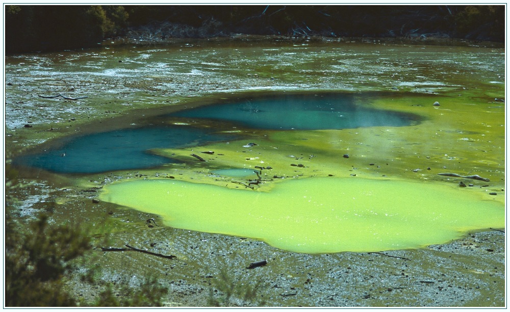 Opal Pool