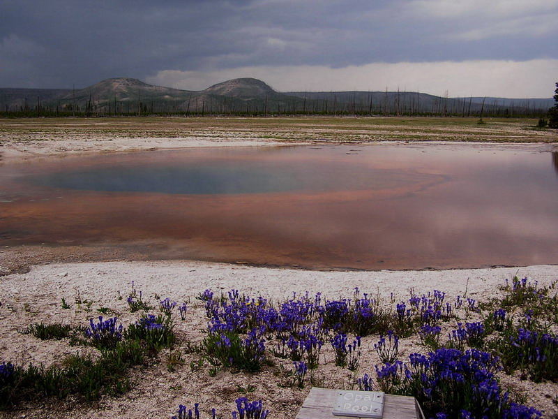 Opal Pool