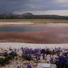 Opal Pool