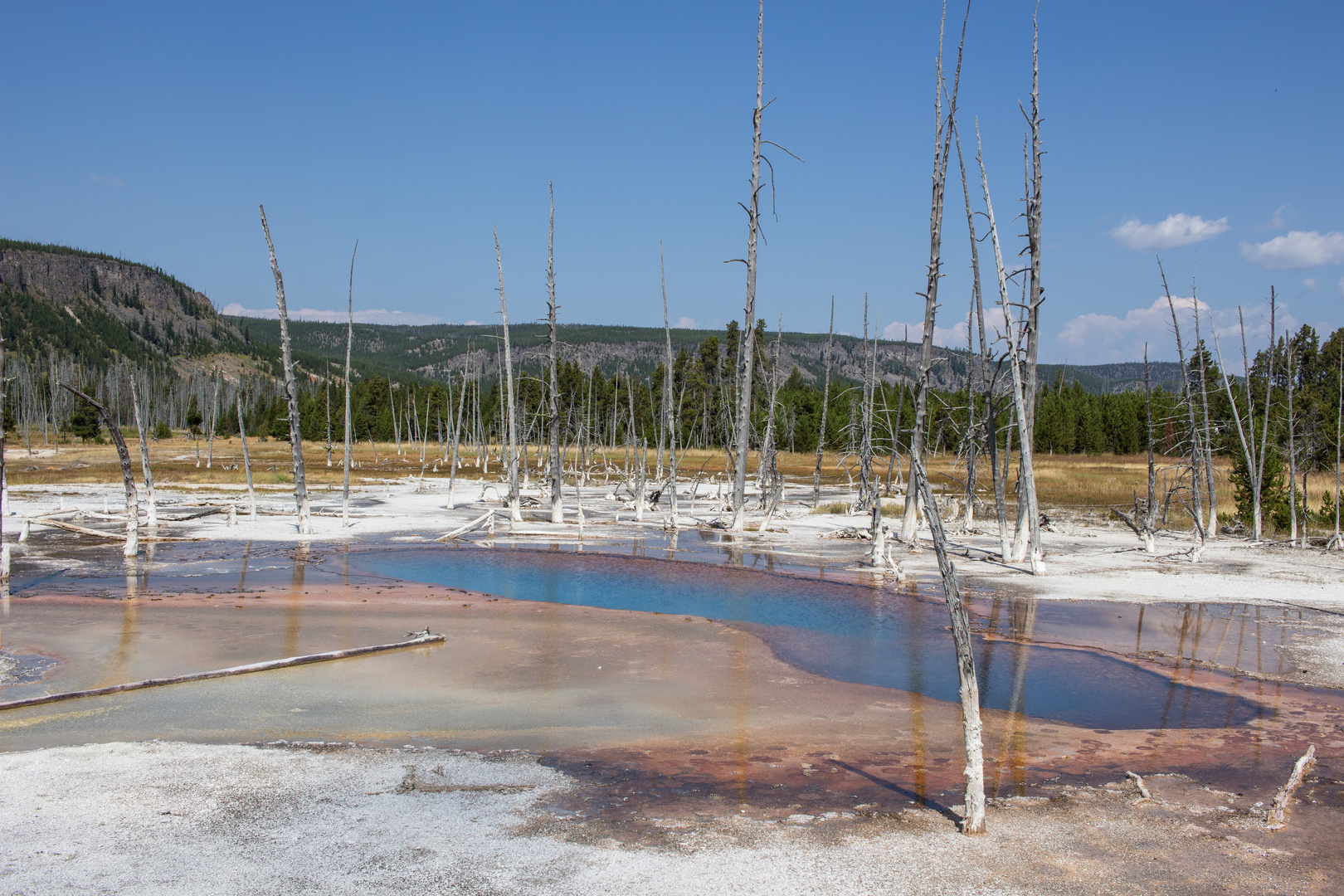 Opalescent Pool