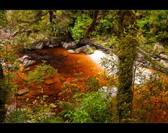 Oparara Basin