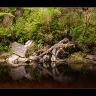 Oparara Basin 2