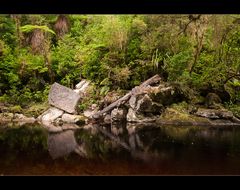 Oparara Basin 2